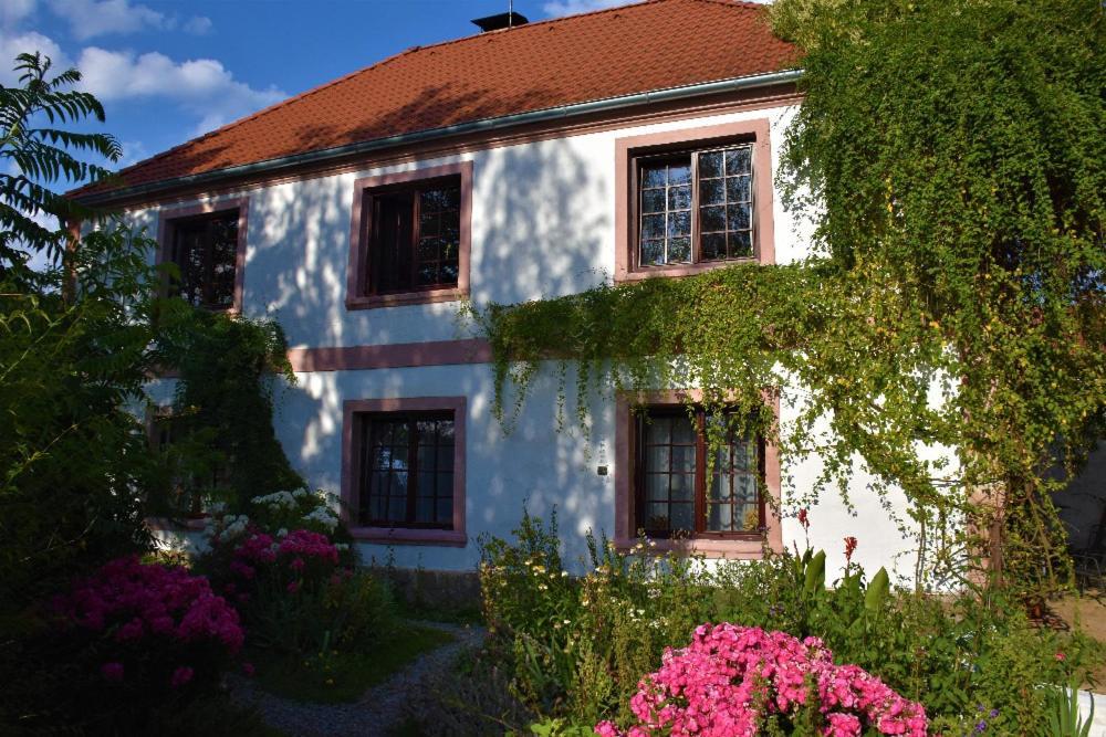 Ubytovani Pod Jilmem Zar Dış mekan fotoğraf
